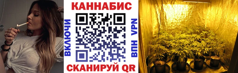 Канабис THC 21%  где можно купить наркотик  Емва 